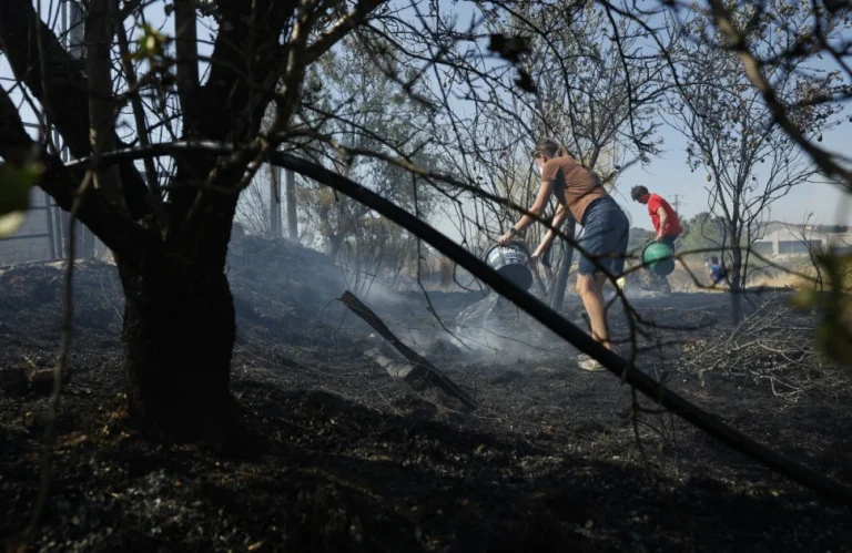 Fire in southwestern Spain active as 470 moved to safety