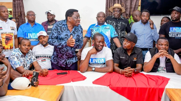 Who owns ‘Linda Mwananchi’ name? High-stakes party registration stirs legal storm