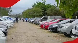 Nairobi Law Firm List 33 Used Vehicles for Sale in Public Auction, Offers Cheapest at KSh 115k Price
