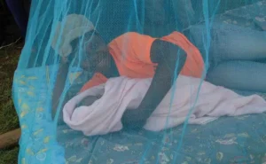 Climate change to fuel malaria surge in Kenya, scientists warn