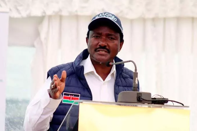 Kalonzo gives police, TSC, KDF seven days to disclose recruitment details