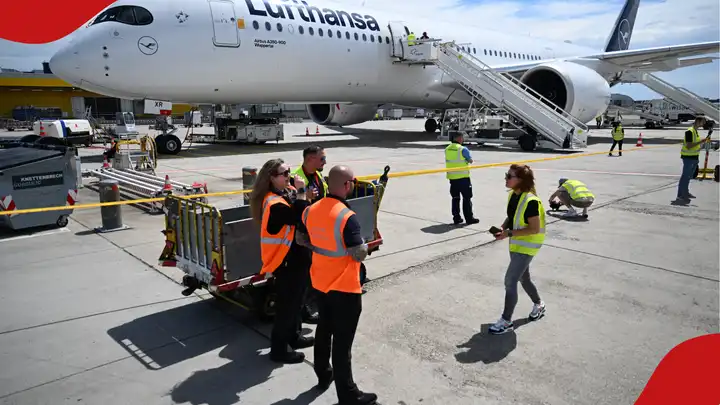 German Airport Worker Dies after Mosquitoes Arrive on Plane, Authorities Say