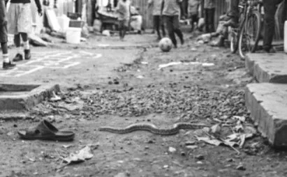 Marsabit boy, 8, dies after snake bite during play