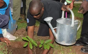 The blind go green to save rare antelopes