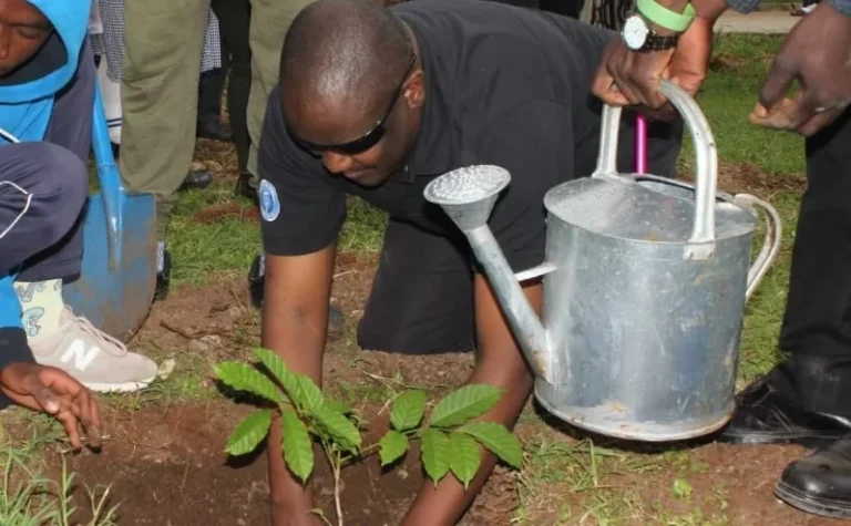 The blind go green to save rare antelopes