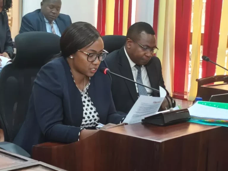Senate probes Sh9.5bn unused World Bank loan amid exposure