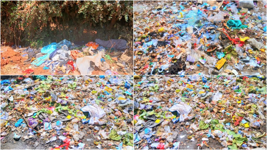 Rats disrupt learning at Machakos Primary School