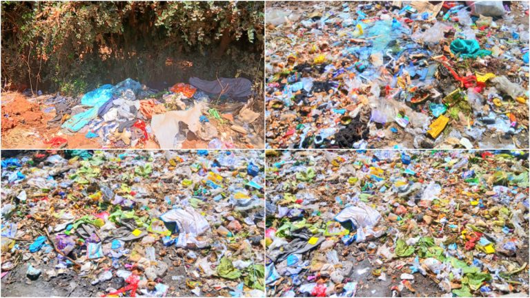 Rats disrupt learning at Machakos Primary School