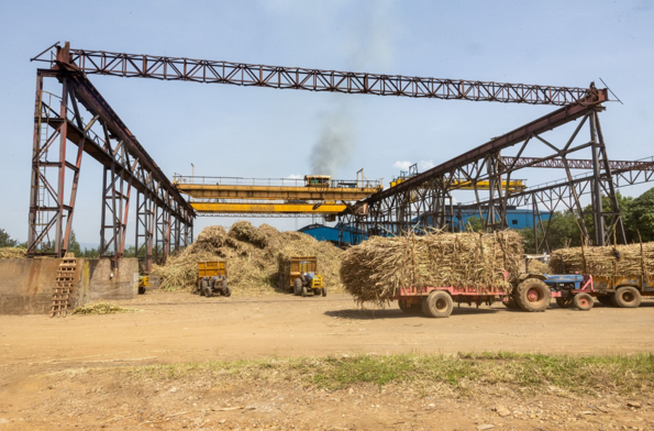 Muhoroni Sugar revival ends years of pain for sugarcane farmers