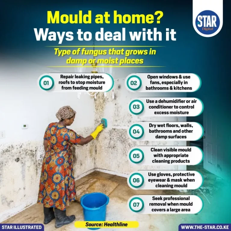 Mould at Home? Ways to Deal with It