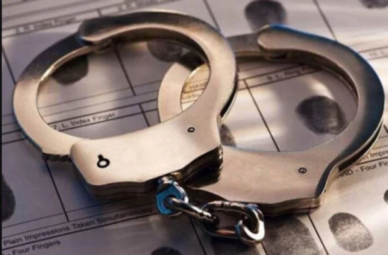 Kenyan businesswoman arrested for running tourism operations ‘reserved’ for Zanzibar citizens