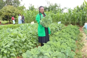 More farmers turn to loans as production cost rises, CBK report shows
