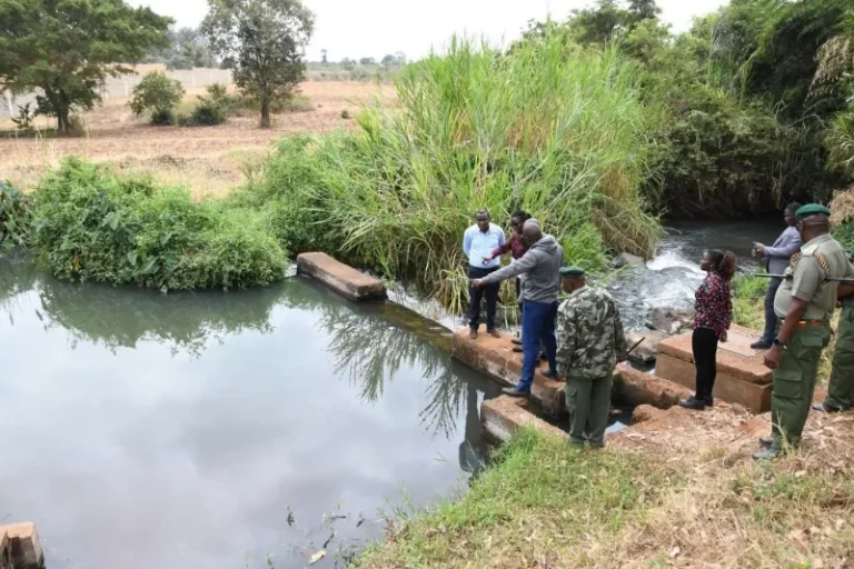 Ruiru Prison Farm irrigation project nears completion