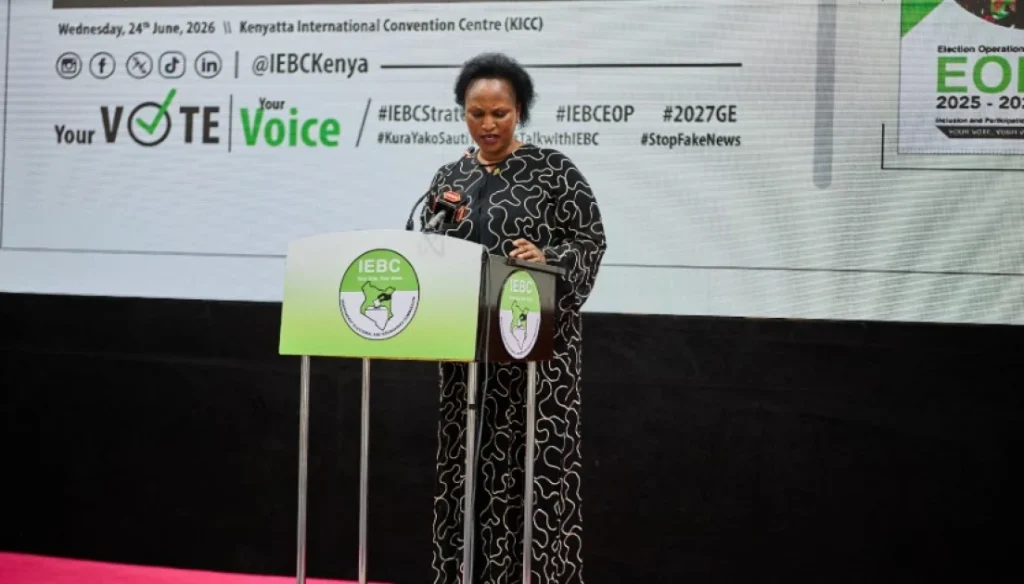 Ann Nderitu: IEBC summoned, fined suspects who breached code of conduct in Ol Kalou polls