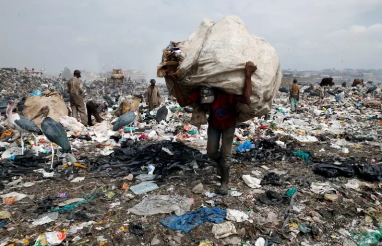 Waste piles up as study finds Kenya failing to tap Sh90bn recycling economy