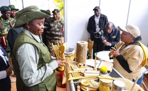 Government identifies gaps in bamboo sector that needs fixed to unlock the potential