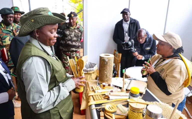 Government identifies gaps in bamboo sector that needs fixed to unlock the potential