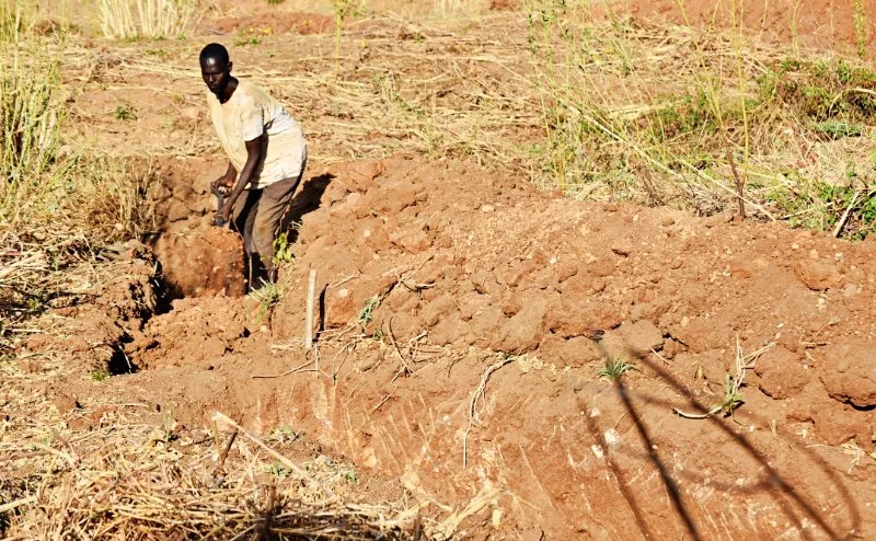 Threat of El Niño now puts Kitui farmers on high alert