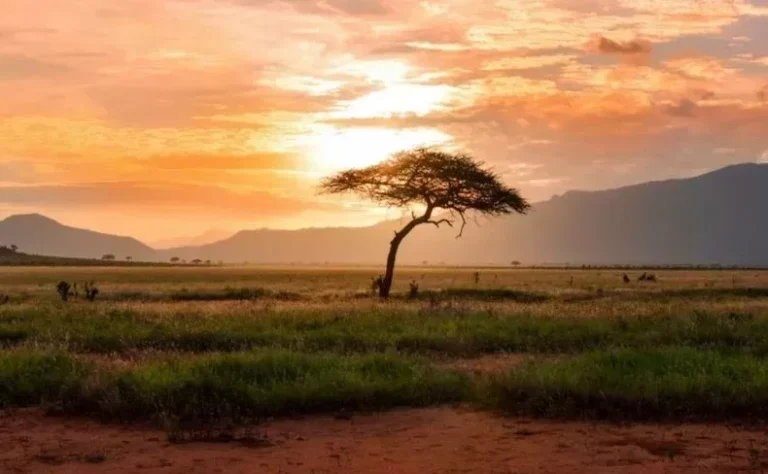 Kenya Met forecasts dry weekend with showers in 14 counties