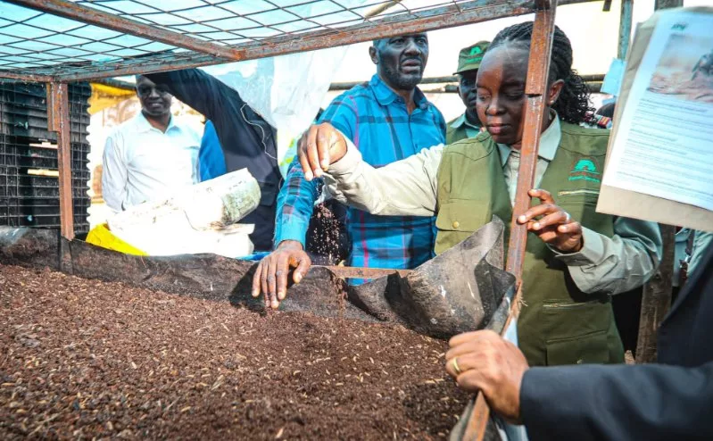 Avocado farmers in Murang’a challenged to adopt safe waste disposal