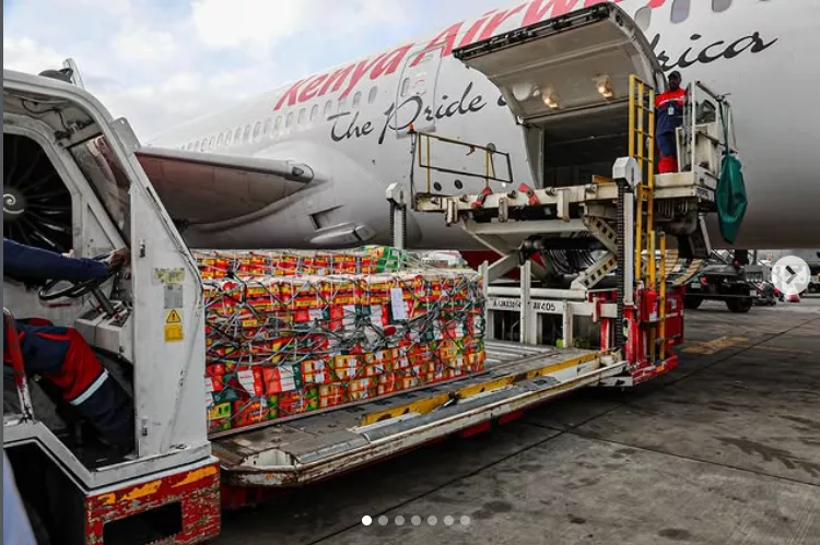 Two-day aviation disruption costs Kenya close to Sh800m in export value
