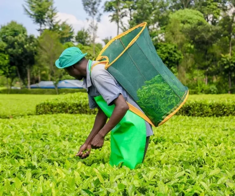 EAC trade hits Sh6.8 trillion with Kenya remaining big brother