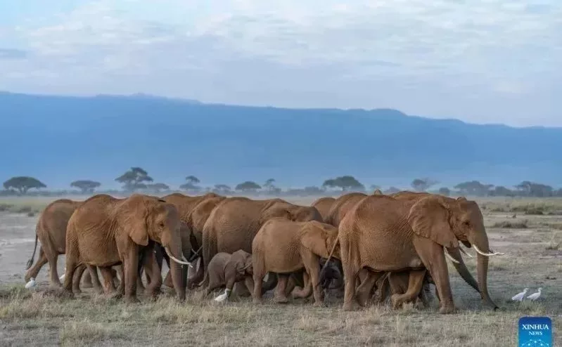 State launches new system to keep wildlife records