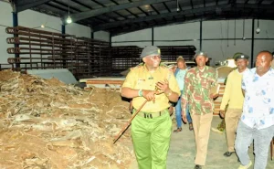 Closed slaughterhouse caught processing donkeys in Masinga