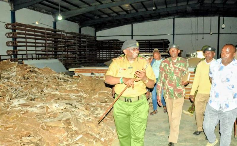 Closed slaughterhouse caught processing donkeys in Masinga