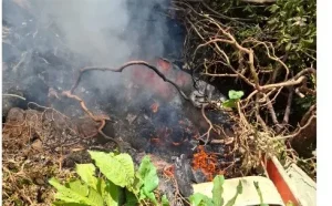 Report reveals what led to Samburu helicopter crash that killed seven