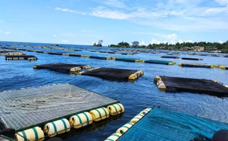 Aquaculture levy row escalates as farmers appeal ruling