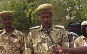 27 dik-dik carcasses seized in Garissa bushmeat trade