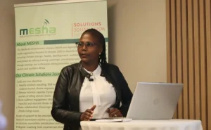 Journalists urged to move climate reporting beyond disasters to preparedness and solutions
