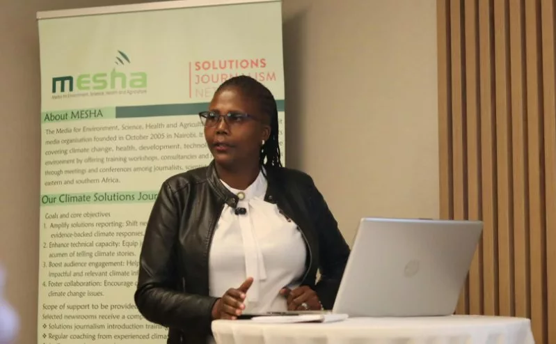 Journalists urged to move climate reporting beyond disasters to preparedness and solutions