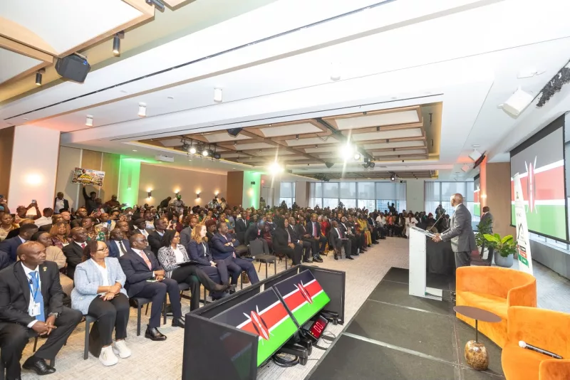 Our economy is on the right footing, Ruto assures Kenyan diaspora