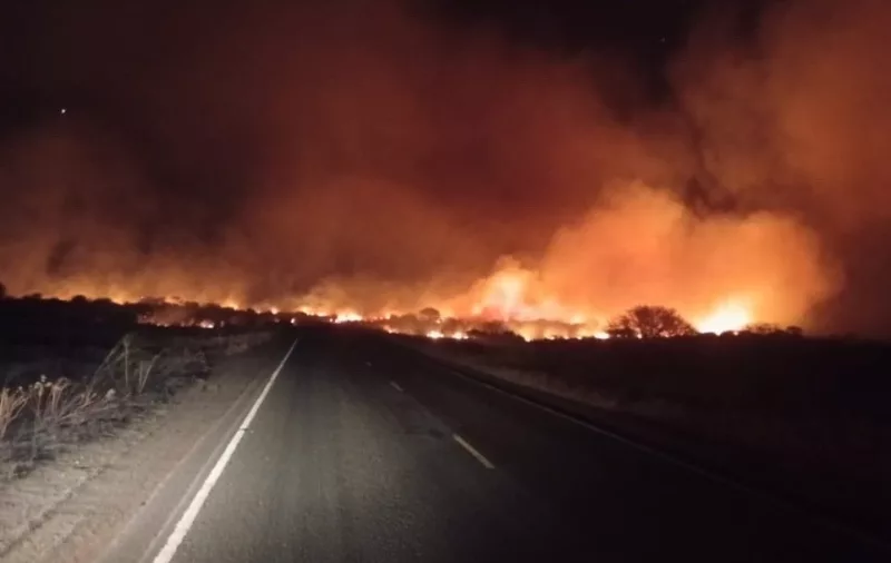 El Niño effect? Bush fires ravage Mt Kenya, Taita Taveta grassland
