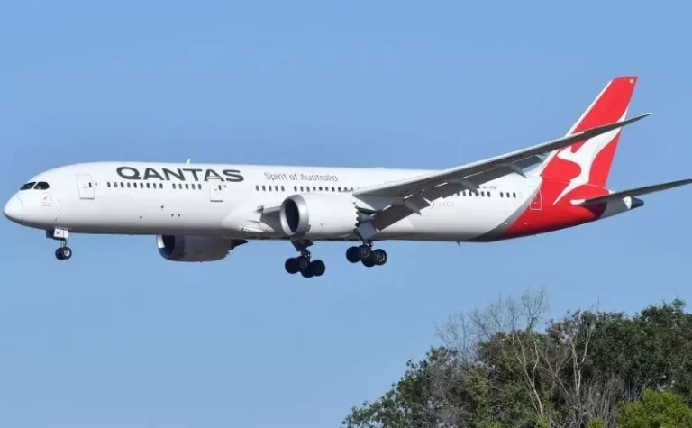 Qantas plane grounded after bedbug outbreak on 17-hour flight