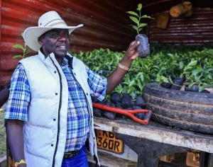 Governor Jonthan Bii has completed 70 percent of projects in Uasin Gishu to boost re-election bid