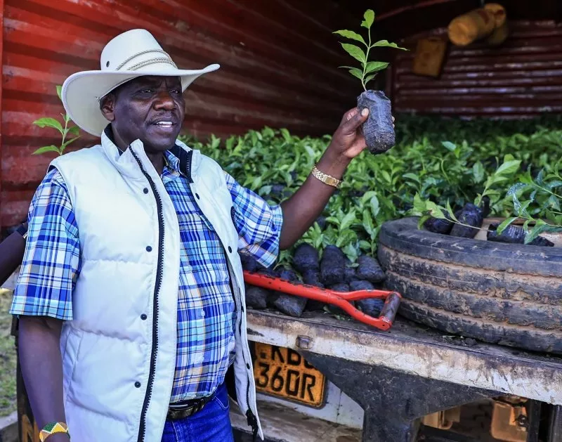 Governor Jonthan Bii has completed 70 percent of projects in Uasin Gishu to boost re-election bid