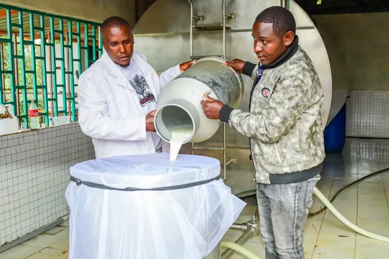 Milk coolers end losses, boost dairy farmers’ incomes in Kirinyaga