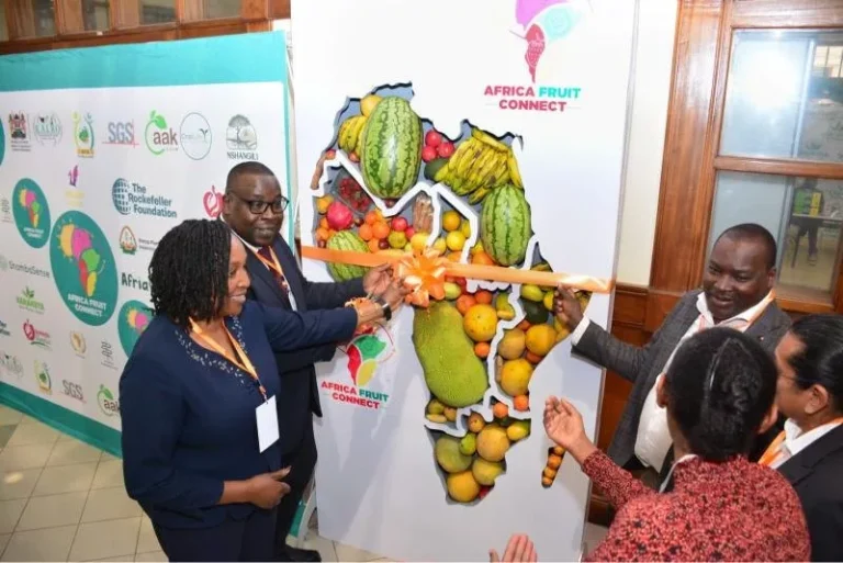 AU: Kenya can tap Africa’s growing fruit trade beyond raw fruit exports