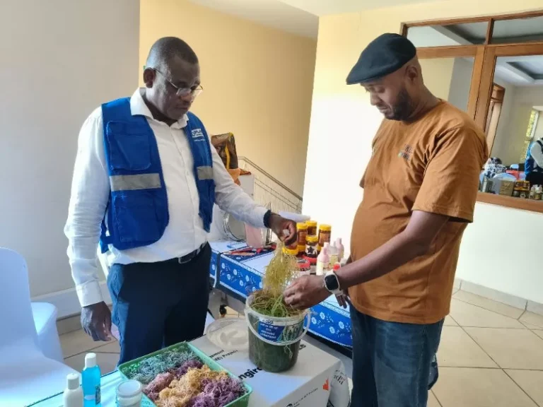 Kwale, Kilifi women reap rewards from seaweed and honey ventures