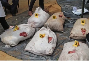 Bushmeat becoming more complex driven by organised networks with high demand