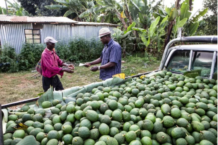 World Bank names four key investment bets for Kenya in next five years