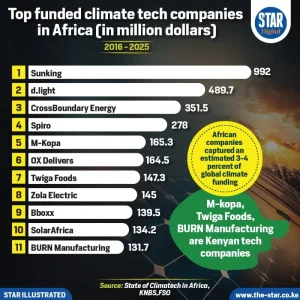 Top funded climate tech companies in Africa (in million dollars)