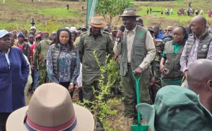 Mau restoration puts livelihoods at the heart of conservation