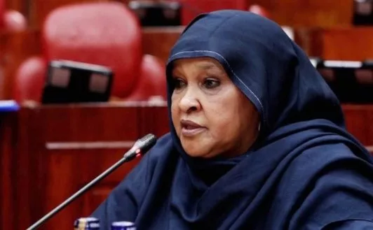 Fatuma Ali lands key PSC seat after MPs approve nomination