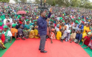 Weta ‘tosha’ after Ruto in 2032, say Western bigwigs
