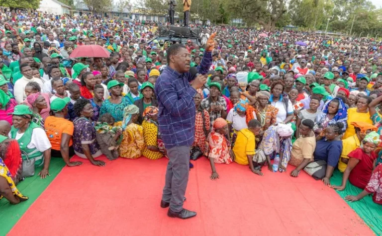 Weta ‘tosha’ after Ruto in 2032, say Western bigwigs